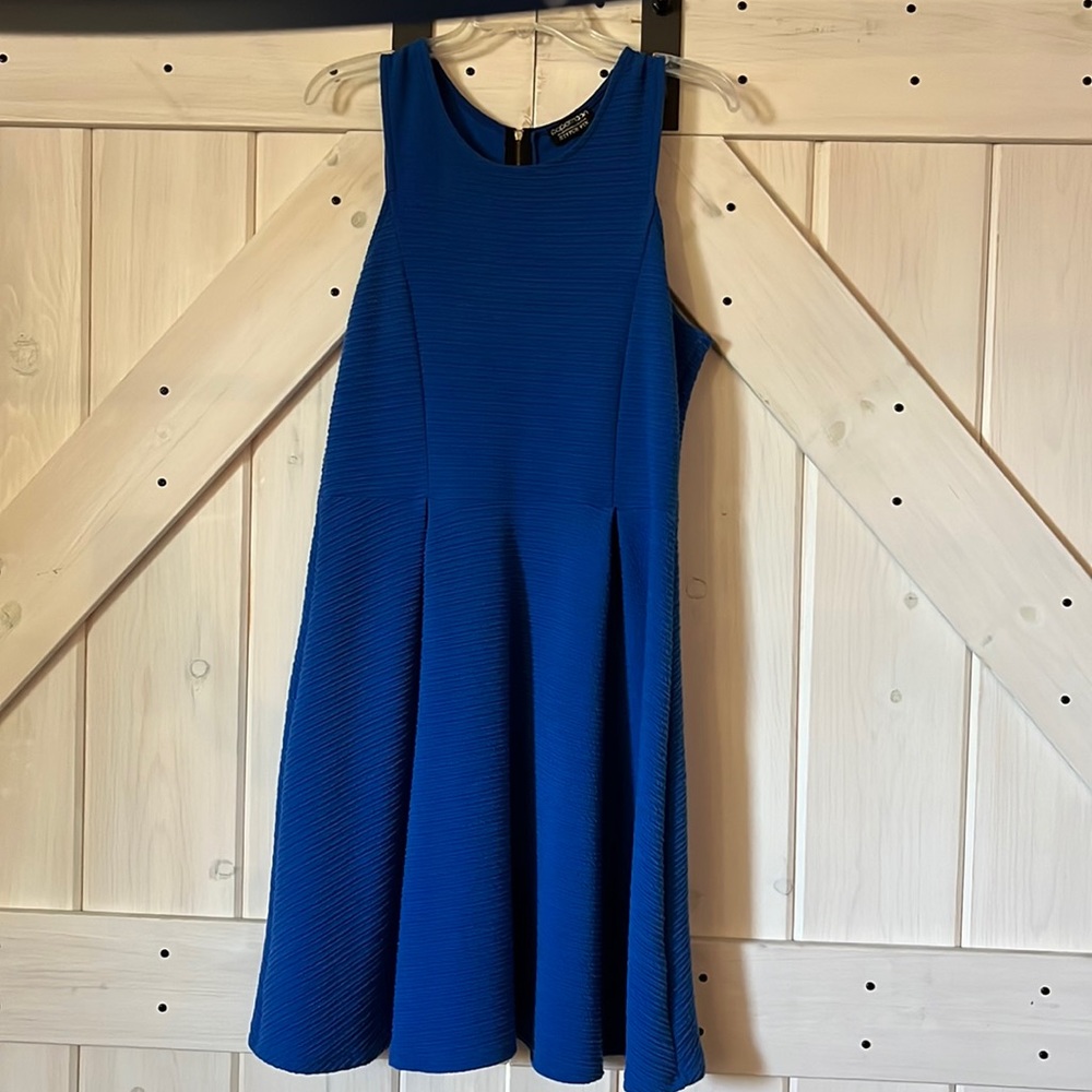 Papermoon for StitchFix blue dress